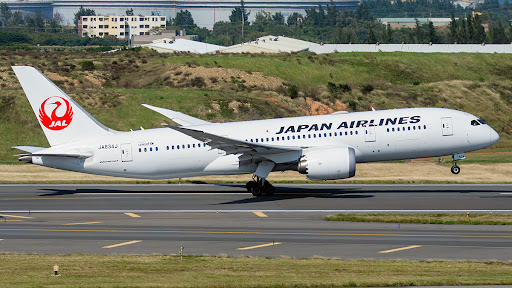 JAL 787-8 日本航空 JA834J ph 1:400 m72785081005_1.jpg?1753239331