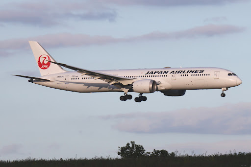 Japan Airlines Flight Tracker (JL / JAL) | Plane Finder