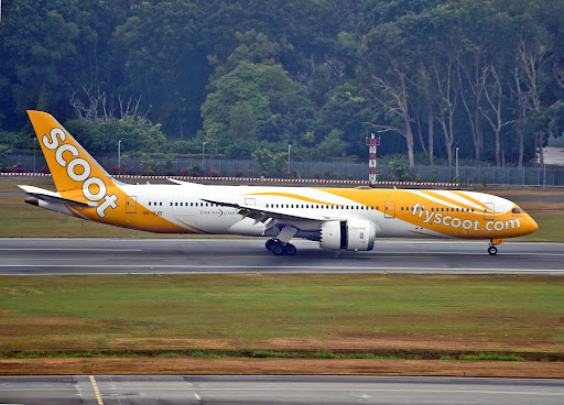 FLY Scoot BOEING787-9 9V-OJA 1:250 航空機・ヘリコプター