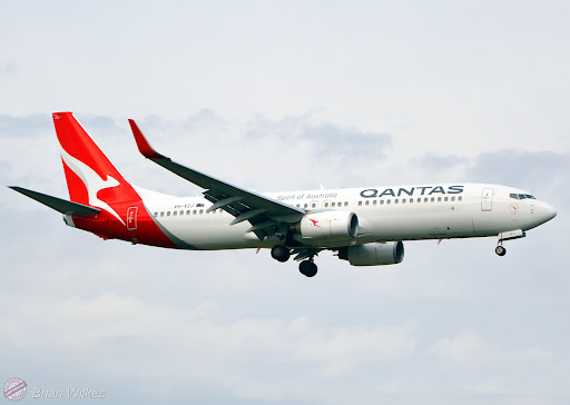 Qf1446 sales