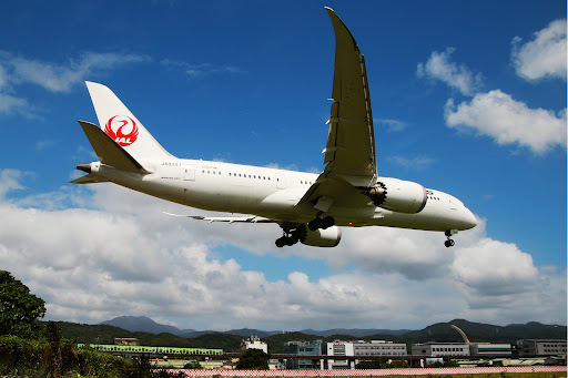 JAL 日本航空 787-8 JA834J ph 1:400 PHX04619 1:400 Phoenix Model Japan Airlines B787-8 Reg