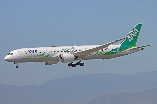 JA871A - Boeing 787-9 - All Nippon Airways (ANA) | Plane Finder